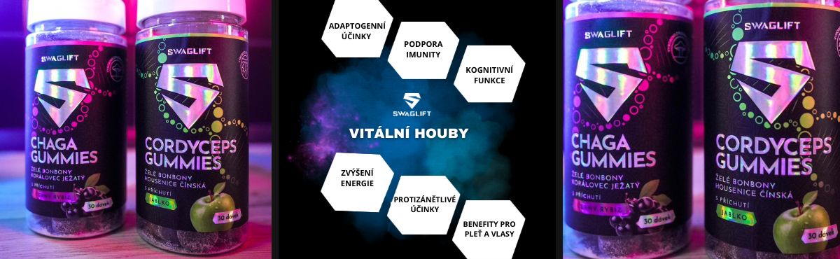 MEDICINÁLNÍ HOUBY (3)